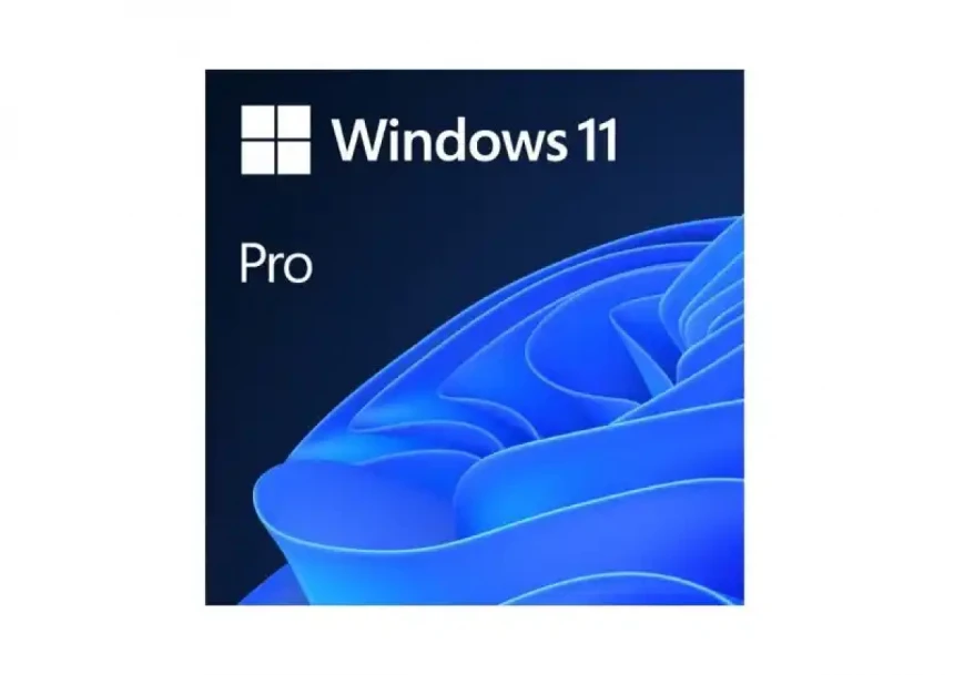 Microsoft Windows 11 Pro 64bit Eng Intl OEI DVD (FQC-10...