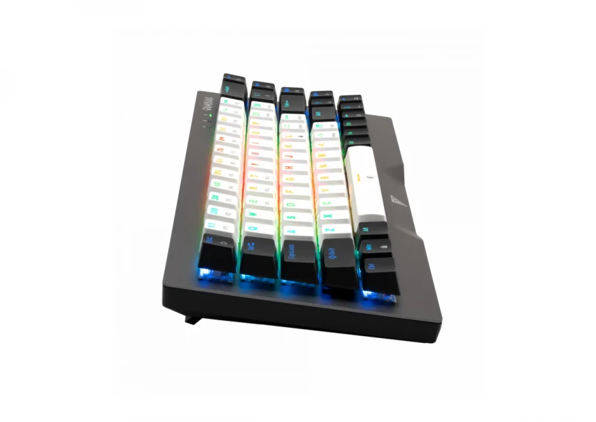 Tastatura Gamdias Hermes M4 Hybrid Mehanička RGB